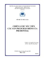 Tiểu luận Chiến lược xúc tiến các sản phẩm bảo hiểm của Prudential