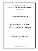 Can thiệp vô hiệu hóa lên dòng vốn vào tại việt nam 