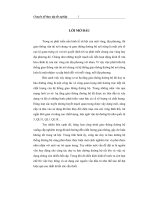 Chuyên đề một số giải pháp tăng cường huy động vốn đầu tư để duy tu bảo dưỡng hệ thống đường bộ việt nam