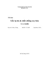 Tiểu luận gốc tự do và chất chống oxy hóa RA006