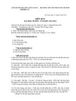 biên bản đại hội chi đội lớp 6a3 năm học 2015  2016