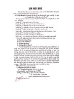 Hướng dẫn giải một số bài toán trong đề thi vào 10