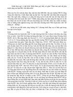 Tham luận thực hiện CTRL đội viên