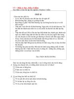 DE KIEM TRA CUOI HOC KI II MON  TIENG VIET 4