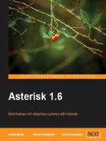 asterisk 1 6 build feature rich telephony systems with asterisk