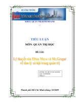 Tiểu Luận Quản Trị Học – Lý Huyết Của Elton Mayo Và Mc.Gregor Về Tâm Lý Xã Hội Trong Quản Trị