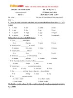 Đề thi học kỳ 1 môn tiếng Anh lớp 7 trường THCS Tam Hưng, Hà Nội năm học 2015  2016 có đáp án 