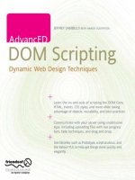 Advanced DOM scripting dynamic web design techniques 
