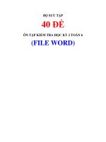 40 de on tap kiem tra hoc ky 2 toan 6 file word  dep