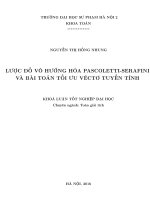 Lược đồ vô hướng hóa Pascoletti  Serafini và bài toán tối ưu véctơ tuyến tính (LV tốt nghiệp)