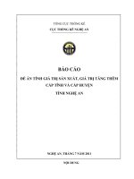 Báo Cáo Đề Án Tính Giá Trị Sản Xuất, Giá Trị Tăng Thêm Cấp Tỉnh Và Cấp Huyện Tỉnh Nghệ An