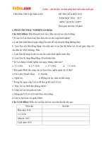 Đề thi giữa học kì 2 môn Lịch sử lớp 7 trường THCS Quảng Chu, Bắc Kạn năm học 2016  2017 