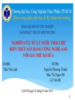 nghiên cứu xử lý nước thải chế biến thuỷ sản bằng công nghệ aao với giá thể xơ dừa