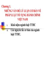 Chương 1  NHUNG VD LY LUAN CB VE LUAT TO TUNG HANH CHINH VIET NAM