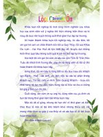 Một số giải pháp nhằm nâng cao chất lượng dịch vụ nhà hàng tại khách sạn xanh   huế