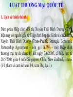 thảo luận nhóm về Đàm phán Hiệp định đối tác Xuyên Thái Bình Dương (TPP)