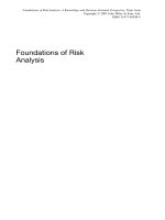 Foundations of RIsk analysis 