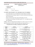 CHUYEN DE CAU BI DONG  LY THUYET