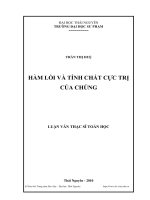 Hàm lồi và tính chất cực trị của chúng