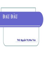 BÀI GIẢNG ĐAU ĐẦU, ThS. Nguyễn Thị Như Trúc