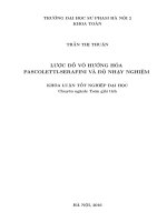 Lược đồ vô hướng hóa pascoletti   serafini và độ nhạy nghiệm 