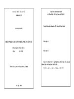 Biện pháp bảo đảm thi hành án dân sự