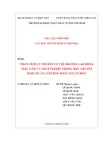 phân tích lý thuyết về thị trường lao động 