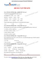 Lớp 10 11 05  480 bài tập chuyên đề phi kim   có lời giải chi tiết 