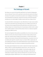 Growth and competitive strategy in 3 circles 