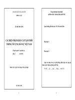 Các biện pháp khẩn cấp tạm thời trong tố tụng dân sự Việt Nam