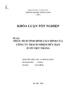 Phân tích tình hình tài chính của Công ty Trách nhiệm Hữu hạn Ô tô Việt Thắng (LV tốt nghiệp)