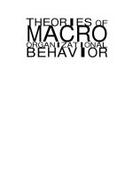 Theories of macro organizational behavior by conor vibert 