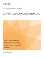 Deploying BGP flowspec 