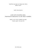 Lược đồ vô hướng hóa Pascoletti  Serafini và độ nhạy nghiệm (LV tốt nghiệp)