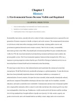 Sustainability innovation and entrepreneurship 