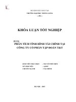 Phân tích tình hình tài chính tại công ty cổ phần tập đoàn TT (LV tốt nghiệp)