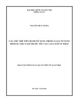 Các chủ thể tiến hành tố tụng trong Luật Tố tụng hình sự Việt Nam trước yêu cầu cải cách tư pháp