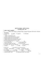 cac de on tap HKII tieng anh 10