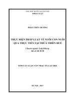 Thực hiện pháp luật về nuôi con nuôi qua thực tiễn tại Thừa Thiên Huế
