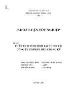 Phân tích tình hình tài chính tại công ty cổ phần Siêu Chung Kỳ (LV tốt nghiệp)