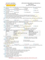 SỞ GD đt lâm ĐỒNG 