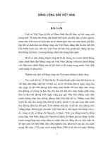 Tiểu luận đảng cộng sản VN 