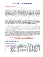 01.PHIEU MO TA DU AN