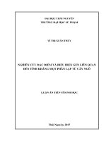 Nghiên cứu và biểu hiện gene liên quan đến tính kháng mọt phân lập từ cây Ngô