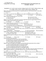 DE MINH HOA TRUONG THPT LY TU TRONG 2017 