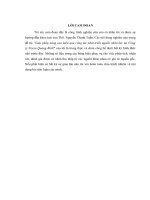 Giải pháp nâng cao hiệu quả công tác phát triển nguồn nhân lực tại công ty visein quảng bình