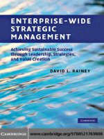 Enterprise wide strategic management by david l rainey
