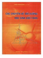Sách Các chuyên đề bồi dưỡng học sinh giỏi Toán