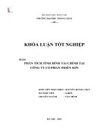 Phân tích tình hình tài chính tại công ty cổ phần Thiên Sơn (LV tốt nghiệp)