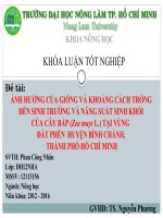 KHÓA LUẬN TỐT NGHIÊP-ẢNH HƯỞNG CỦA GIỐNG VÀ KHOẢNG CÁCH TRỒNG ĐẾN SINH TRƯỞNG